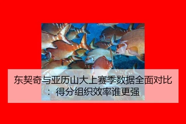 dong-qi-qi-yu-ya-li-shan-da-shang-sai-ji-shu-ju-quan-mian-dui-bi-de-fen-zu-zhi-xiao-lv-shui-geng-qiang-2-640.jpg
