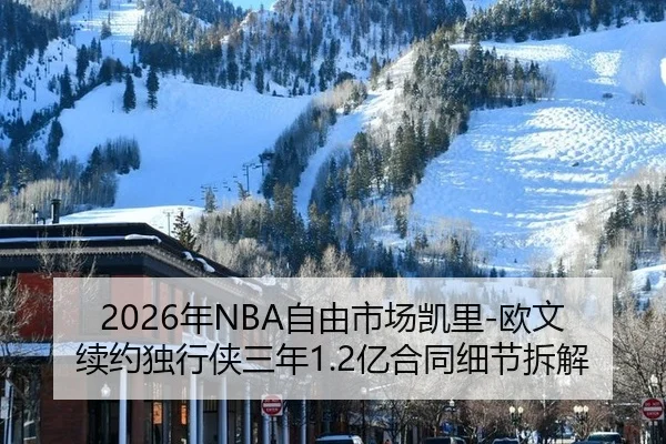 nian-zi-you-shi-chang-kai-li-ou-wen-xu-yue-du-xing-xia-san-nian-yi-he-tong-xi-jie-chai-jie-3-342.jpg