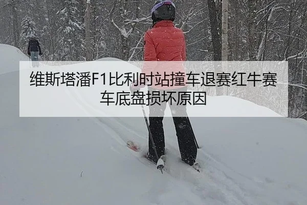 wei-si-ta-pan-bi-li-shi-zhan-zhuang-che-tui-sai-hong-niu-sai-che-di-pan-sun-huai-yuan-yin-3-173.jpg
